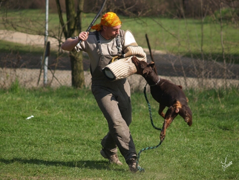 Hesta di Altobello - training 4. 4. 2007